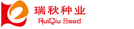 績效考核|薪酬設計|北京人力資源管理咨詢公司